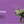 Load image into Gallery viewer, Chunky Board Book - GF - Dinosaurs