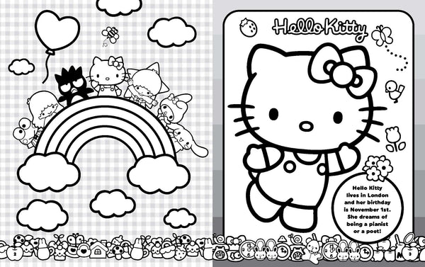 Hello Kitty and Friends - Activity Case