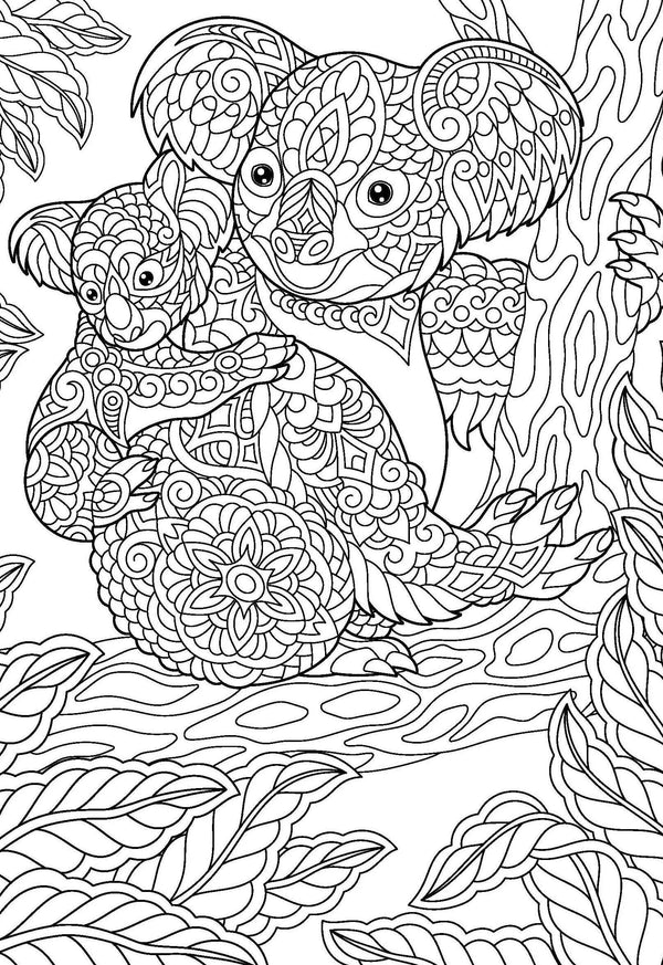 Wall Art - Amazing Animals (FSC)