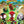 Load image into Gallery viewer, Spidey and His Amazing Friends - Activity Kit - Dino Webs
