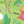 Load image into Gallery viewer, Squeaky Plush Board Book - Five Silly Monkeys