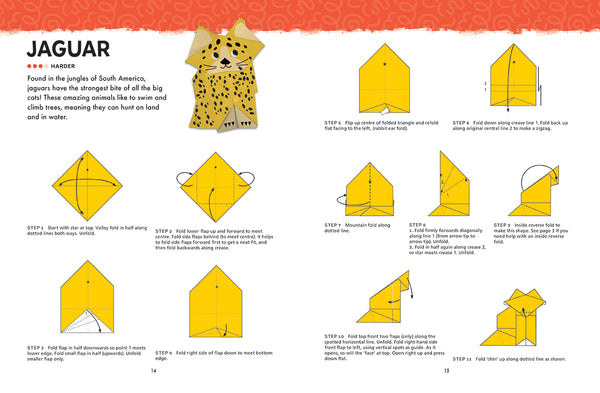 Origami Activity Book - Wild Animals