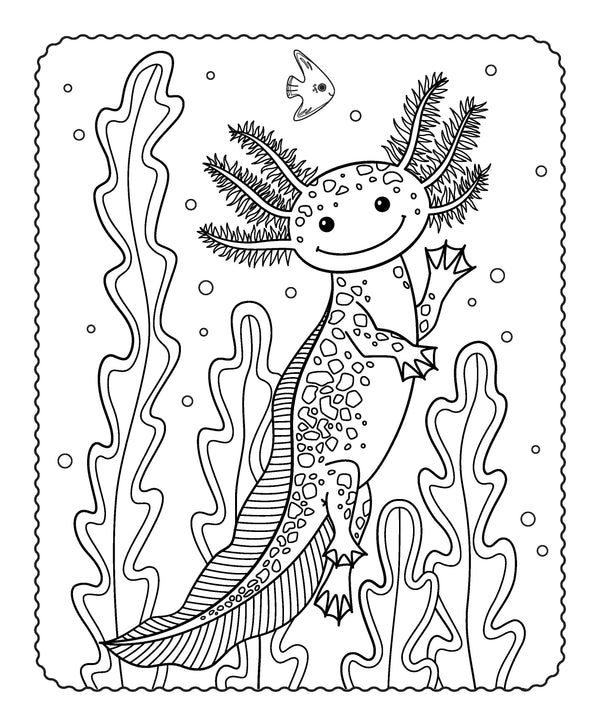 Markerific - Activity Folder - Axolotl Buddies