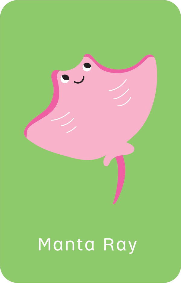 Little Genius Vol. 2 - Snap Cards - Go Fish