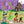 Load image into Gallery viewer, Spooky Surprise - Lift-the-Flap Board Book