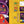 Load image into Gallery viewer, Book & Kit - Junior Trivia - Music
