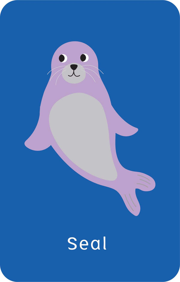 Little Genius Vol. 2 - Snap Cards - Go Fish