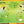 Load image into Gallery viewer, Explore & Learn Kits - Minibeasts Explorer