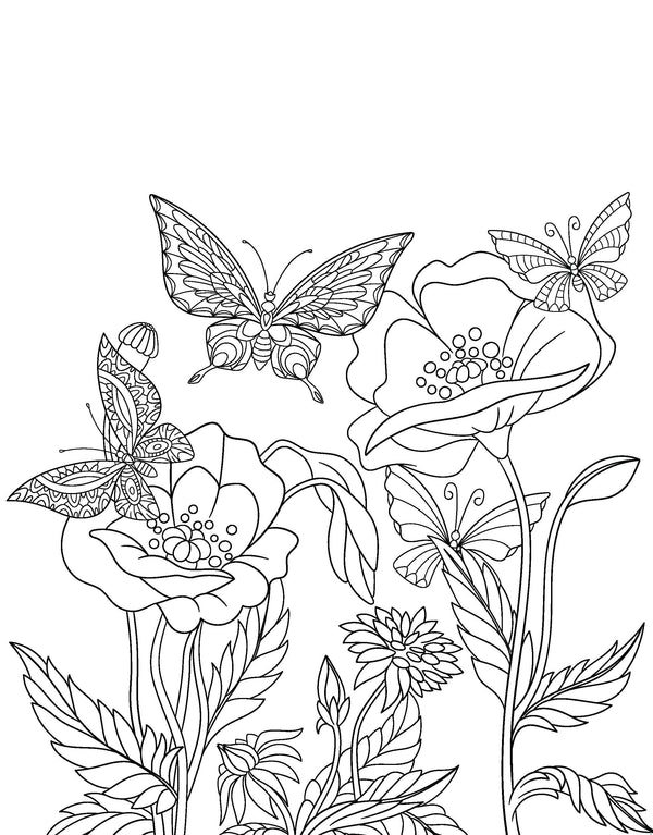 Mindful Poster Art - Beautiful Butterflies