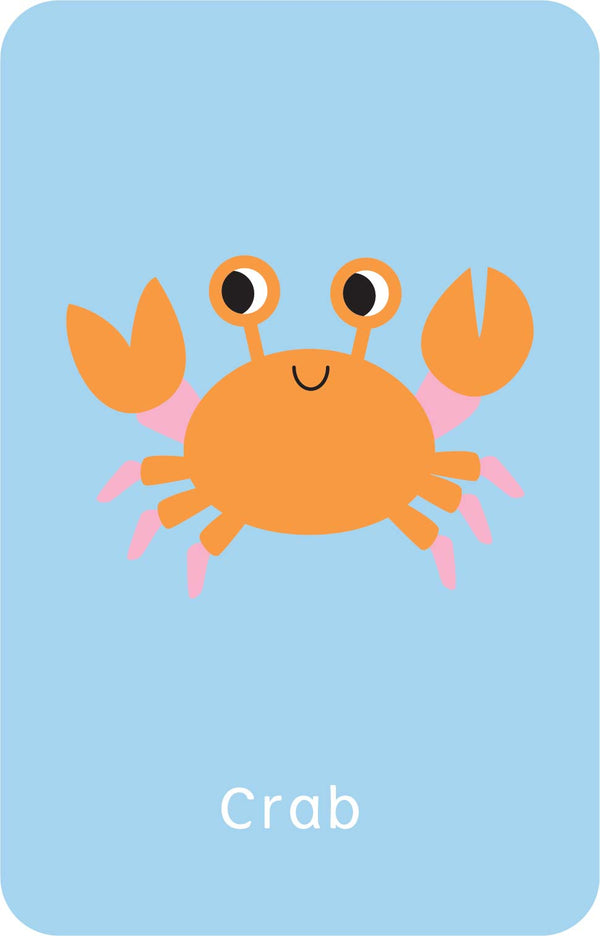 Little Genius Vol. 2 - Snap Cards - Go Fish