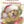 Load image into Gallery viewer, Muddy Paws First Christmas
