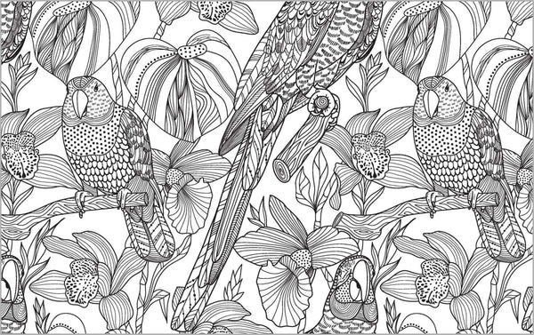 Colour Vibes - Adult Colouring Book - Nature