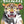 Load image into Gallery viewer, Sticker Therapy - Animals
