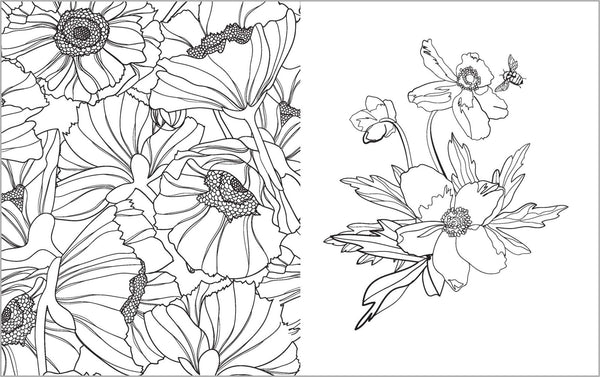 Colour Vibes - Adult Colouring Book - Botanical