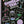 Load image into Gallery viewer, Scratch Art - Bubble Tea