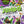 Load image into Gallery viewer, TMNT Mutant Mayhem - Jumbo Colouring Book