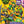 Load image into Gallery viewer, TMNT Mutant Mayhem - Ultimate Sticker Book