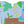Load image into Gallery viewer, 3 Board Book Pack - Jungle Animals