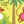 Load image into Gallery viewer, Squeaky Plush Board Book - Five Silly Monkeys