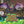 Load image into Gallery viewer, TMNT Mutant Mayhem - Pop-Up Book