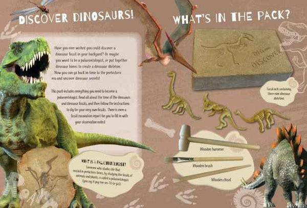 Book & Kit - Make This! Dino Dig