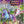 Load image into Gallery viewer, Unicorn Academy - Activity Fun Pack