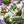 Load image into Gallery viewer, TMNT Mutant Mayhem - Colouring Book