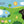 Load image into Gallery viewer, Finger Puppet Book - Baa Baa Black Sheep