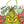 Load image into Gallery viewer, Dr Seuss - Activity Case - The Grinch