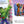 Load image into Gallery viewer, Spidey and His Amazing Friends - Collect-Me Book - Construction Destruction