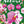 Load image into Gallery viewer, Sticker Therapy - Nature