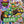 Load image into Gallery viewer, TMNT Mutant Mayhem - Pop-Up Book