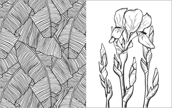 Colour Vibes - Adult Colouring Book - Botanical
