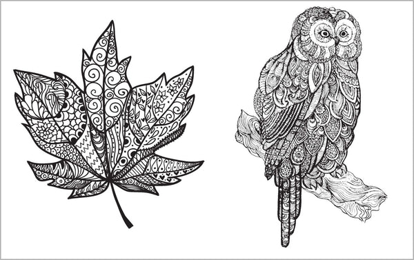 Colour Vibes - Adult Colouring Book - Nature