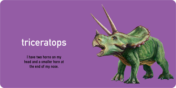 Chunky Board Book - GF - Dinosaurs