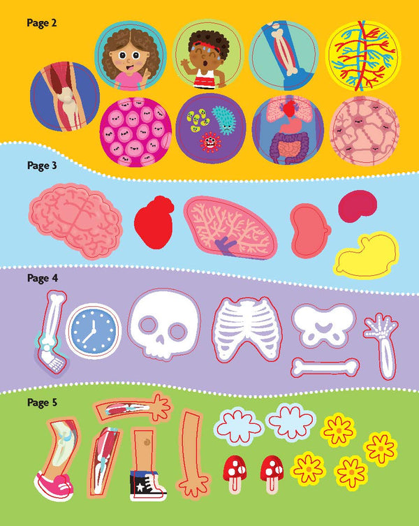 FunFacts - Sticker Activity Book - Human Body
