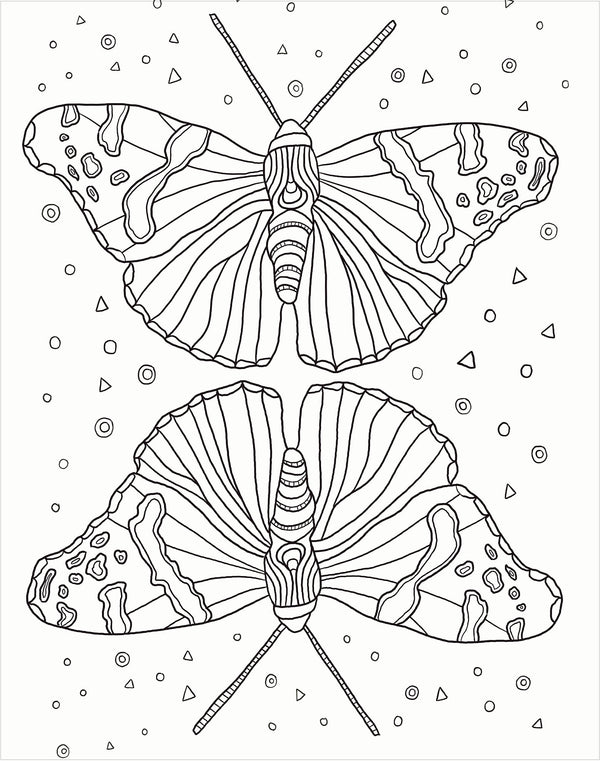 Gallery Wall Art - Bugs