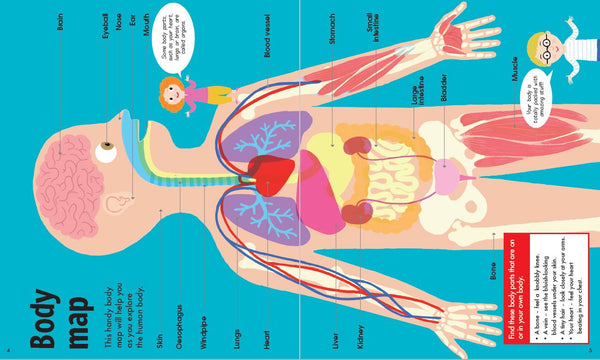 FunFacts - Book & Jigsaw - The Human Body