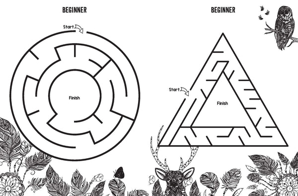 Colouring and Mazes - Dreams and Wishes