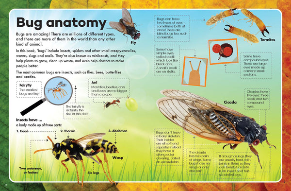 Explore & Learn Kits - Minibeasts Explorer