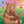 Load image into Gallery viewer, Cuddle Pops - Bear Hugs
