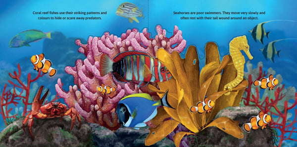 Garry Fleming's Sea Animal Sounds Pop-Up Book