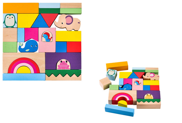 Little Genius Play & Learn - Shaped Blocks