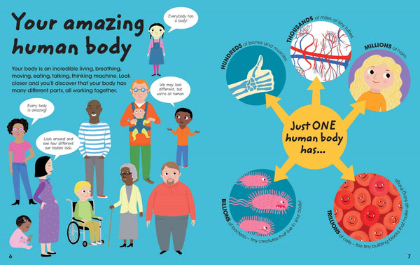 Factivity Vol. 2 - 128pp Reference - Human Body