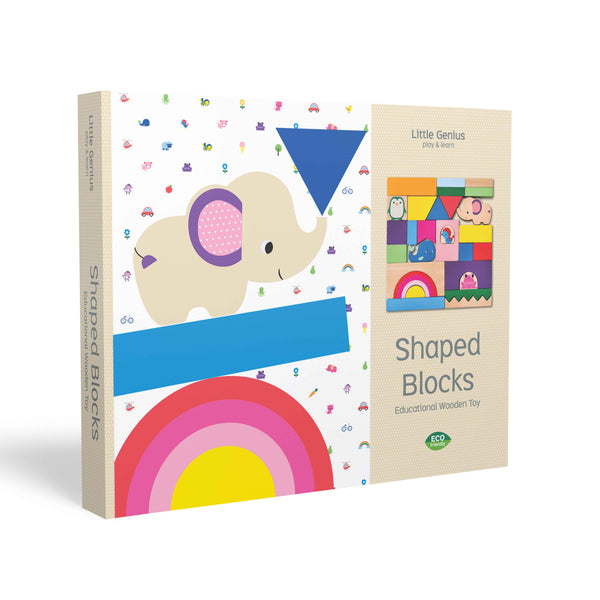 Little Genius Play & Learn - Shaped Blocks