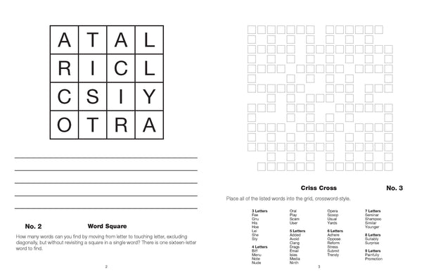 Large Print Puzzle - Mixed Puzzle