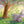 Load image into Gallery viewer, Story Time - Padded Board Book - I Will Always Love You
