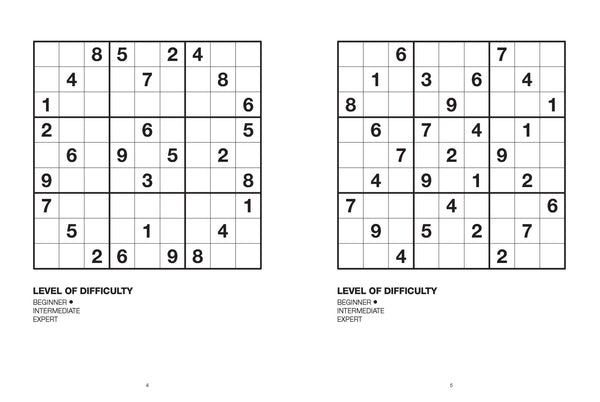 Large Print Puzzle - Sudoku