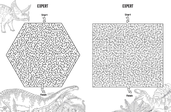 Colouring and Mazes - Dinosaur