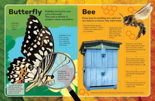 Explore & Learn Kits - Minibeasts Explorer